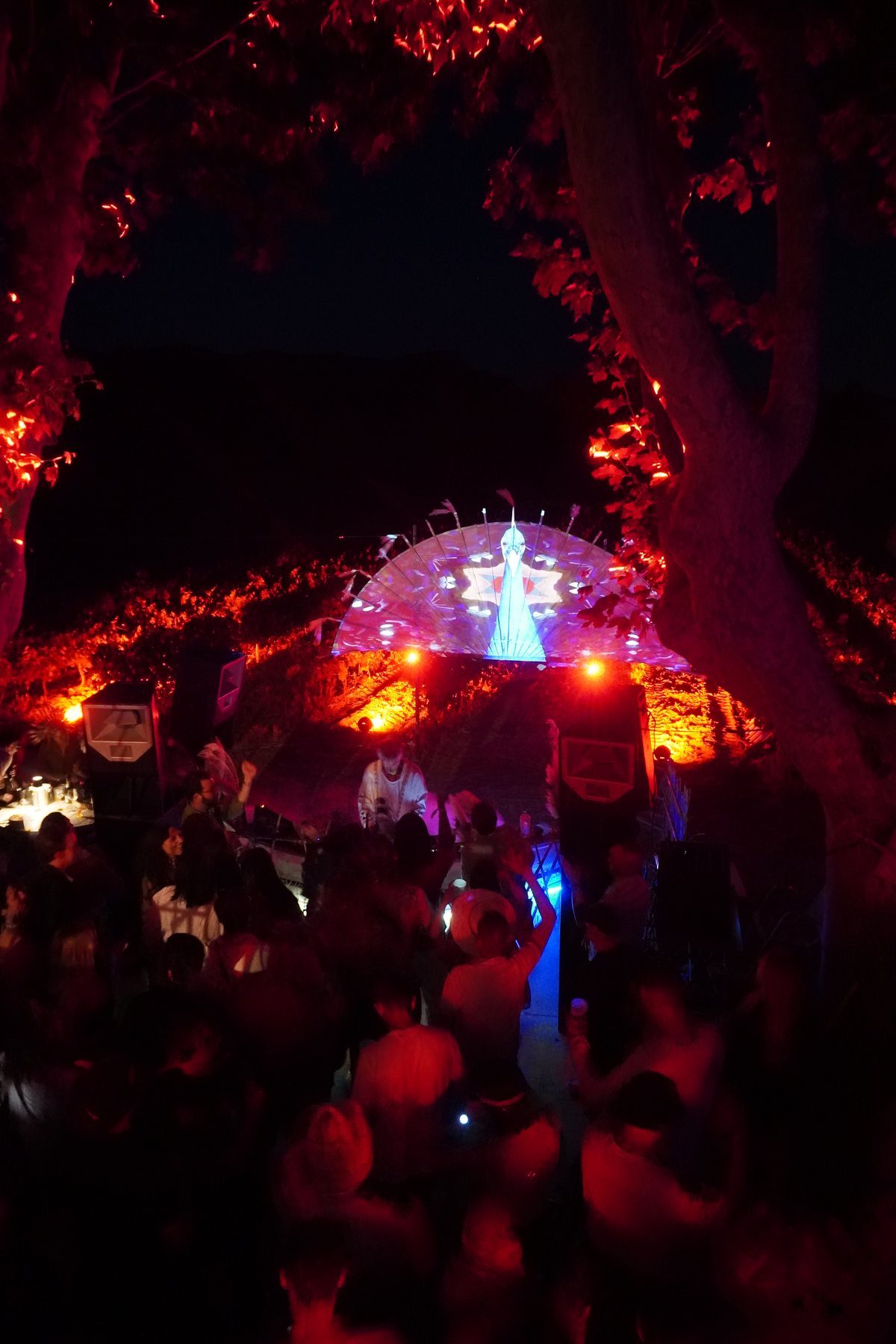 Scene de nuit sous les arbres, structure lumineuse en eventail, foule